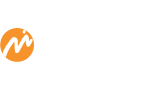 Metro Turizm